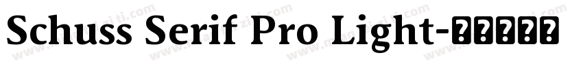 Schuss Serif Pro Light字体转换